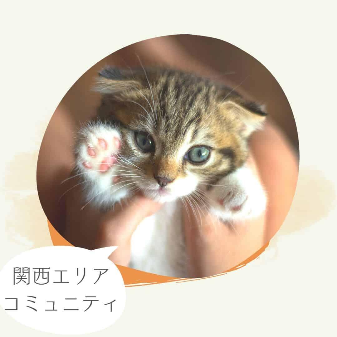 ロゴ画像